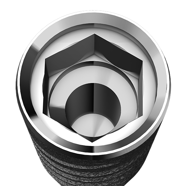 Картинка Имплантат  винтовой / Screw Type Implant I22-4.2,13 0 из 2 