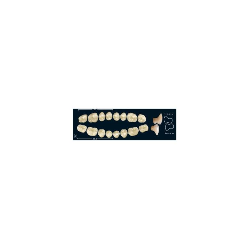 Зубы искуственные боковые верхние Ivoclar Set of 8 U OK30O A1 купить