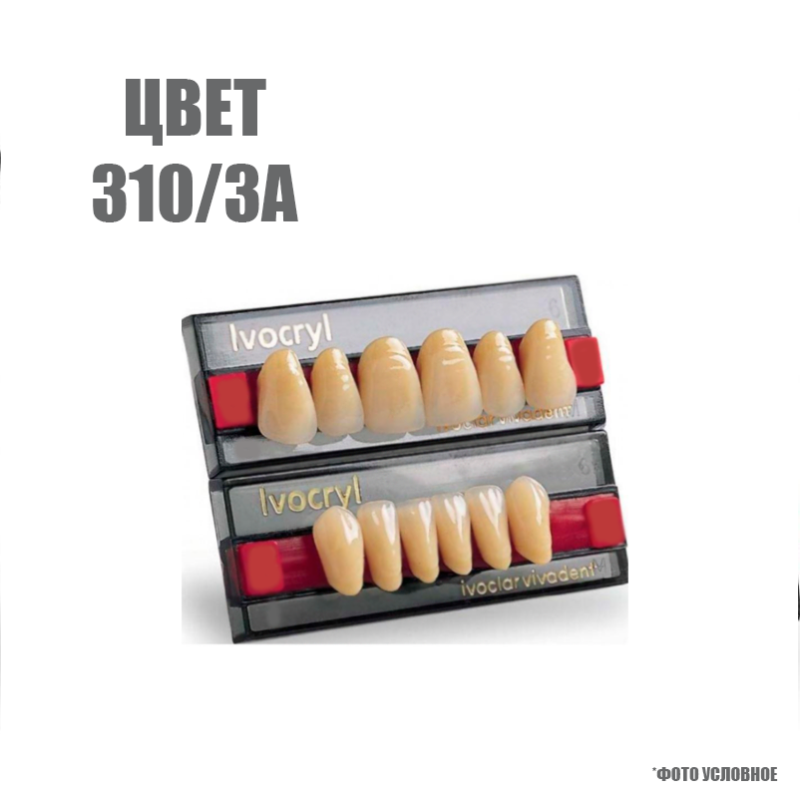 Зубы искуственные в цвете chromascop передние для н/ч SR Vivodent set of 6 lower 310/3А А7 купить