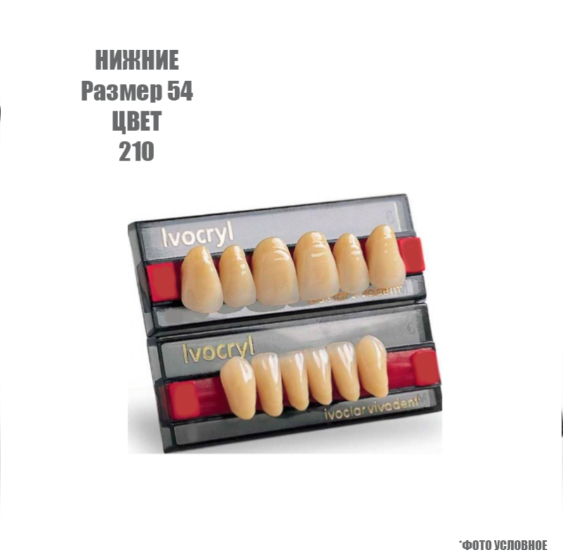 Зубы искуственные фронтальные нижние Ivoclar Set of 6 L UK54 210 купить